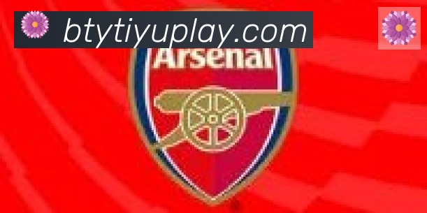 B体育官网合作伙伴